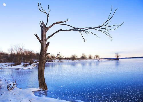  フリー画像| 自然風景| 湖の風景| 樹木の風景| 月の風景| 雪景色| アメリカ風景| カンザス州| 青色/ブルー| 