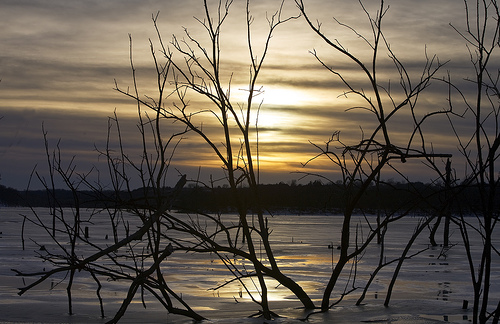 フリー画像|自然風景|湖の風景|樹木の風景|夕日/夕焼け/夕暮れ|アメリカ風景|カンザス州|