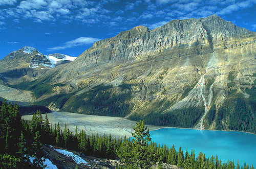  フリー画像| 自然風景| 山の風景| 湖の風景| カナディアンロッキー| ペイトーレイク| カナダ風景| 