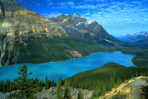 フリー画像|自然風景|山の風景|湖の風景|カナディアンロッキー|ペイトーレイク|カナダ風景|