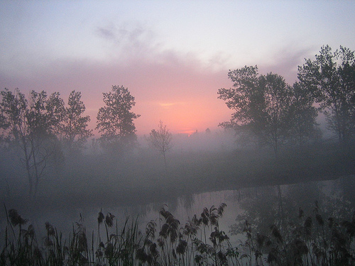  フリー画像| 自然風景| 霧/靄| 河川の風景| 朝日/朝焼け| 