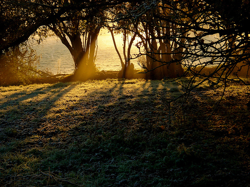 フリー画像|自然風景|朝日/朝焼け|太陽光線|樹木の風景|イギリス風景|オックスフォード|
