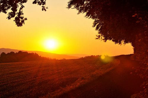 フリー画像|自然風景|田園風景|夕日/夕焼け/夕暮れ|太陽光線|橙色/オレンジ|道の風景|