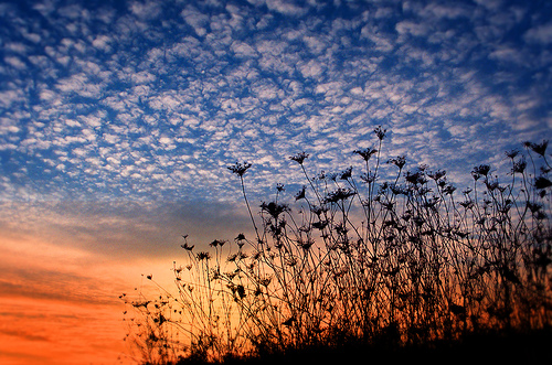 フリー画像|自然風景|空の風景|雲の風景|夕日/夕焼け/夕暮れ|
