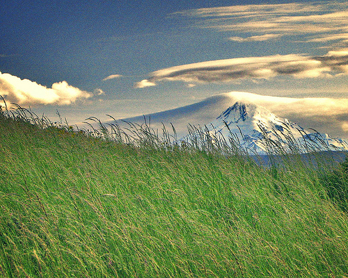 フリー画像|自然風景|山の風景|草原の風景|アメリカ風景|オレゴン州|フリー素材|
