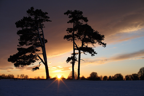 フリー画像|自然風景|樹木の風景|夕日/夕焼け/夕暮れ|イギリス風景|フリー素材|